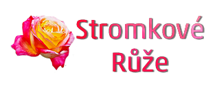 Stromkové Růže